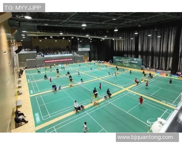 上海羽毛球队逆袭之旅揭秘从低谷到巅峰的奋斗历程与荣耀时刻